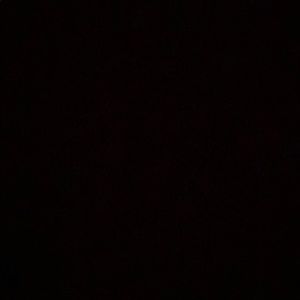 Meet your Posher, Lil